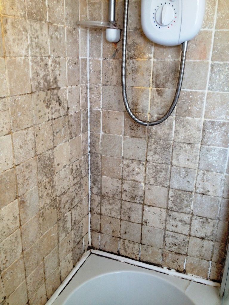 Mouldy Filled Travertine Tiled Shower Before Cleaning
