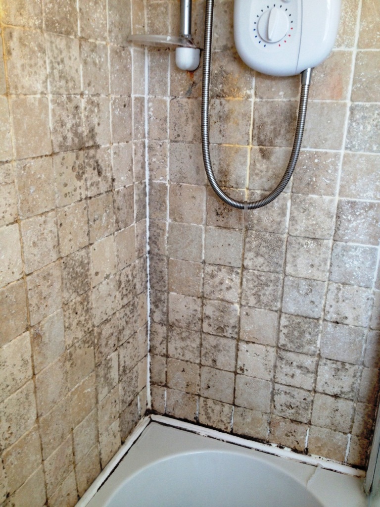 Removing Mould From Travertine Bathroom Tiles Stone Cleaning And 