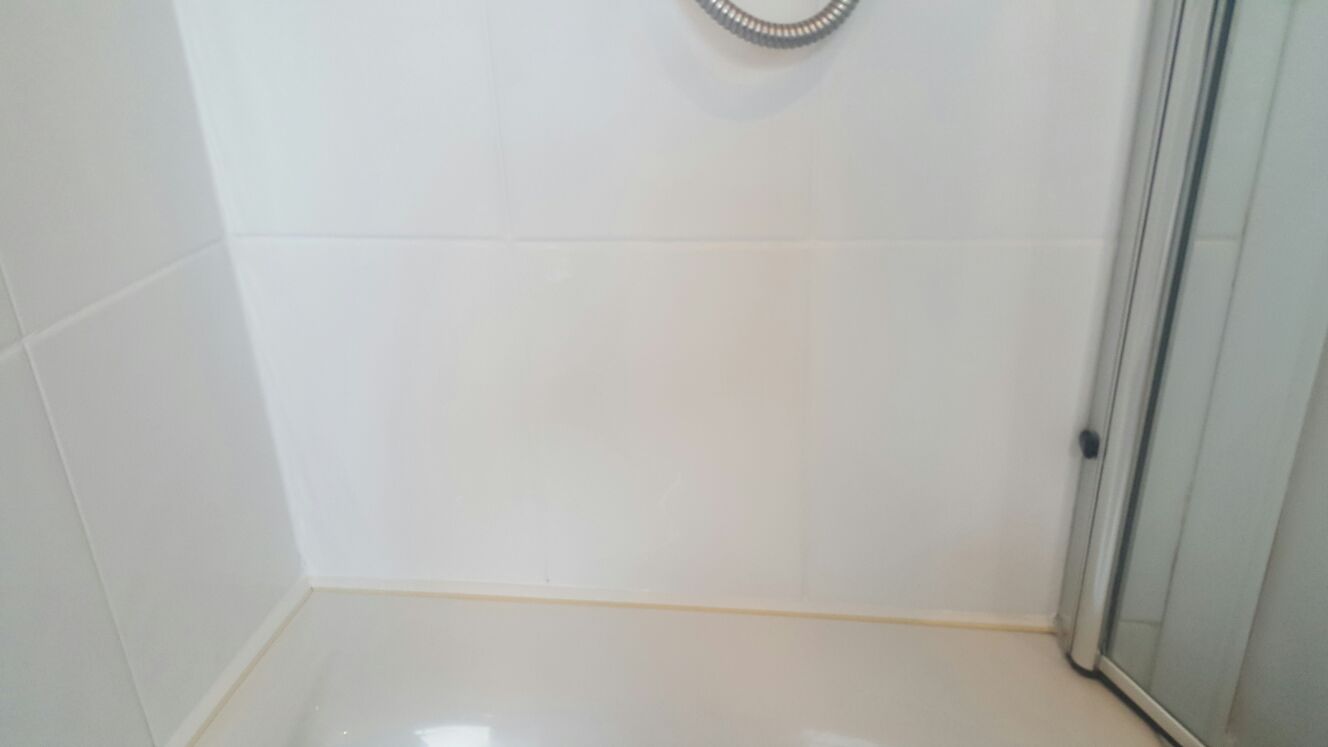 Shower Wall Tiles Paisley After Grout Colouring